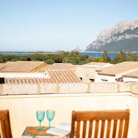 With Pool Overlooking Tavolara - Villa